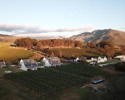 Endless Vineyards at Wildekrans Wine Estate