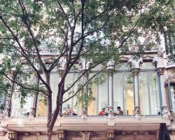 Cami Gallery Barcelona