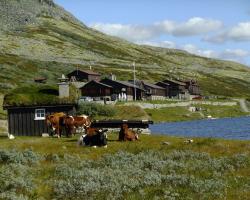 Smuksjøseter Fjellstue