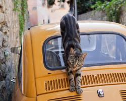 Yellow Sorrento - Apartment on two levels