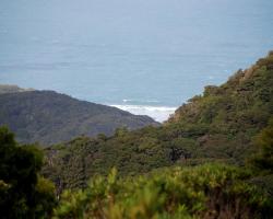 Lone Kauri Lodge