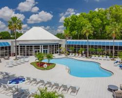 Wyndham Orlando Resort & Conference Center, Celebration Area