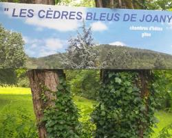 Les Cèdres Bleus de Joany