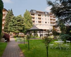 Parkhotel am Taunus