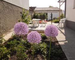 Ferienhäuser Sonnenhof - Mönchhof