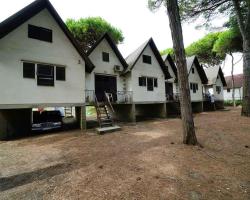 Holiday Homes in Lido di Spina 21206