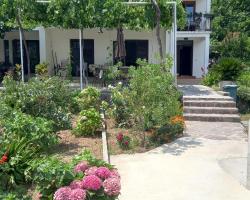 Apartments Budva Center