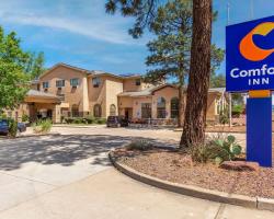 Comfort Inn Payson