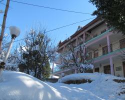 Manali Top Inn