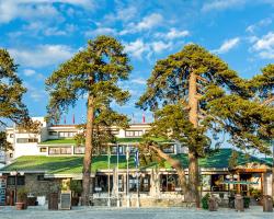 Troodos Hotel