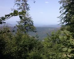 Sport & Ski Holiday Home