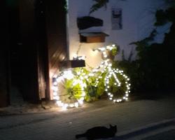 Stierstall-Suite Pension Wahlenau