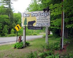 Bear Tree Lodge