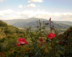 Agriturismo Le Maceie