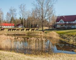 Zirgu sēta "Klajumi" - Horse ranch "Klajumi"