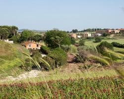 Tenuta Capizucchi