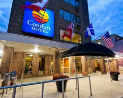 Comfort Hotel Downtown Toronto