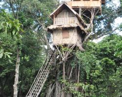 Tanna Lava View Bungalows