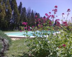Mas Micoulari