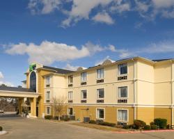 Holiday Inn Express Hotel & Suites Mount Pleasant, an IHG Hotel