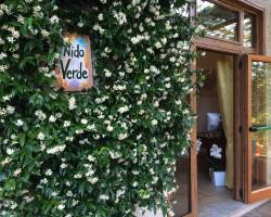 ニード ヴェルデ