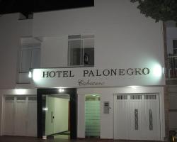 Hotel Palonegro