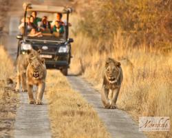 Morokolo Safari Lodge Self-catering