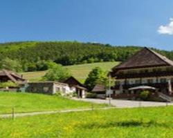 Landgasthaus Grüner Baum