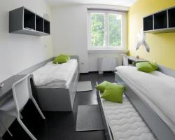 MC Hostel Brezice