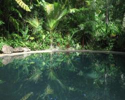 Daintree Rainforest Retreat Motel