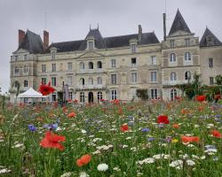 Chateau de Briançon