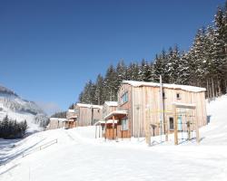 Wood chalet in Styria with terrace