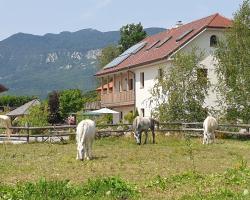 Lipizzaner Lodge Guest House