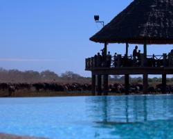 Voi Wildlife Lodge