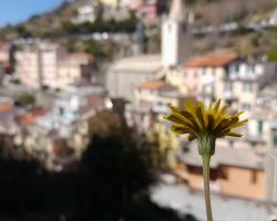 Casa vacanze Riomaggiore