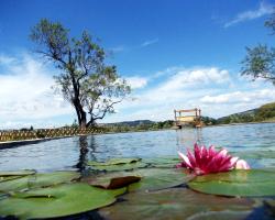 Agriturismo Il Poderino
