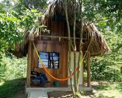 Hostal Oasis The Traveler