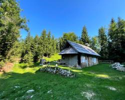 Chalet Bohinj