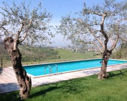 Sangiovese, casa con piscina tra vigne e tartufi