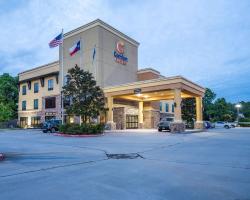 Comfort Suites Old Town Spring