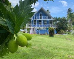 Islander House on Rocky Cay Beach