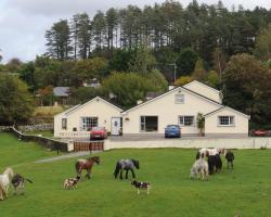 Muckross Riding Stables