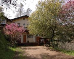 The Grand Mountain Top Retreat