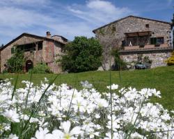 Colle ai Lecci
