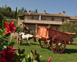 Farm stay Il Carro del Colle