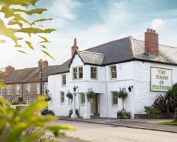 The Plume of Feathers