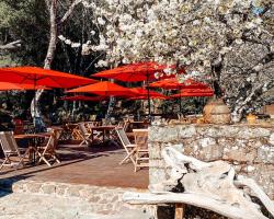 Auberge De La Foret Bonifatu