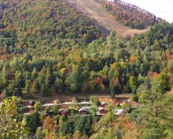 Camping Yoghi e Bubu