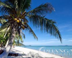 Phangan Beach Resort