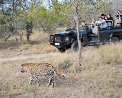 Umkumbe Safari Lodge